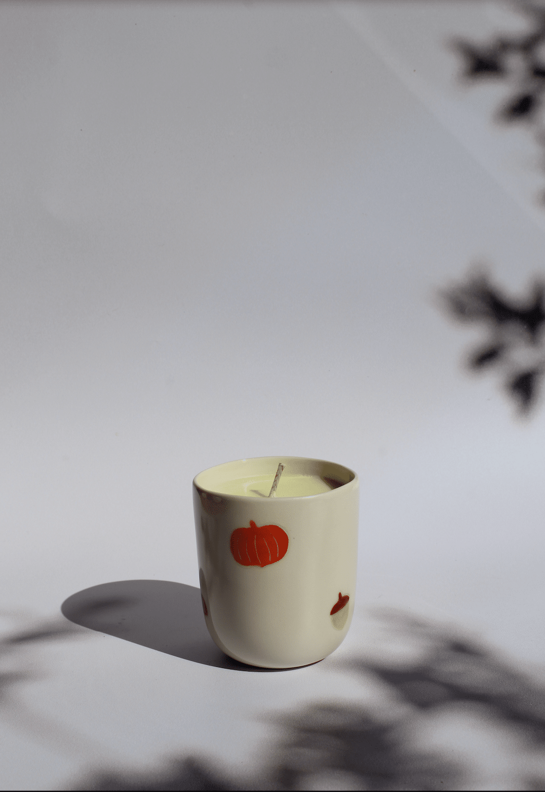 Bougie unique automne