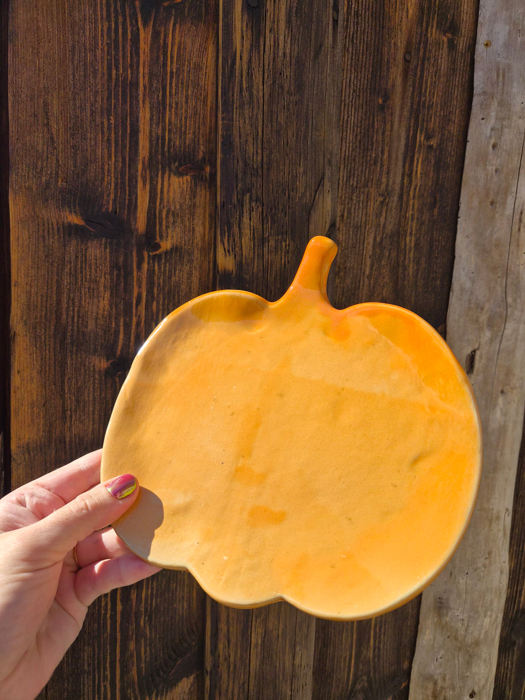 Plat courge