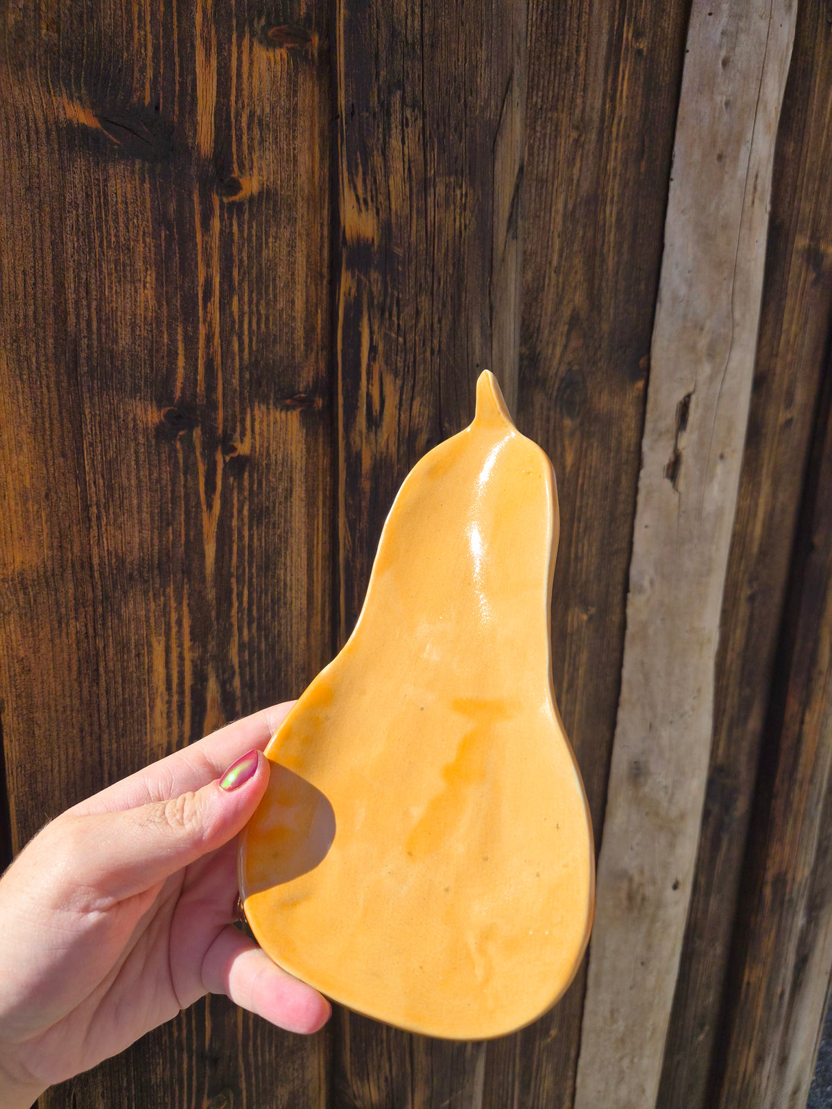Petit plat butternut