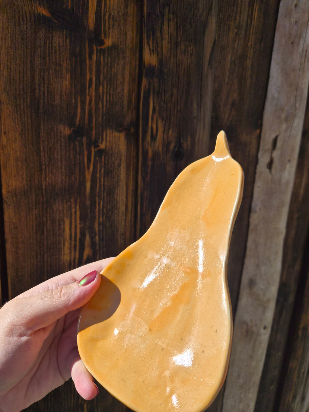 Petit plat butternut