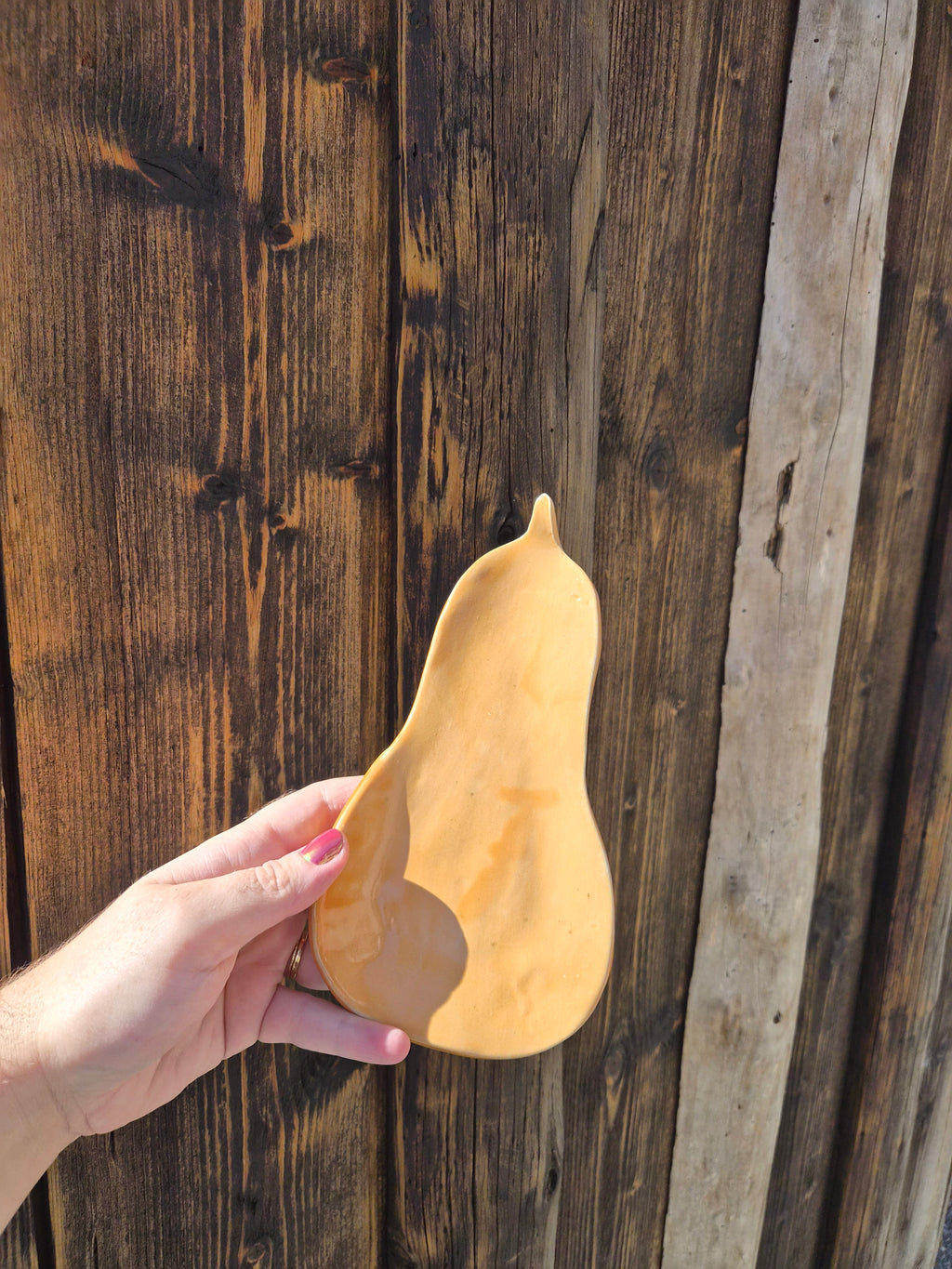 Petit plat butternut