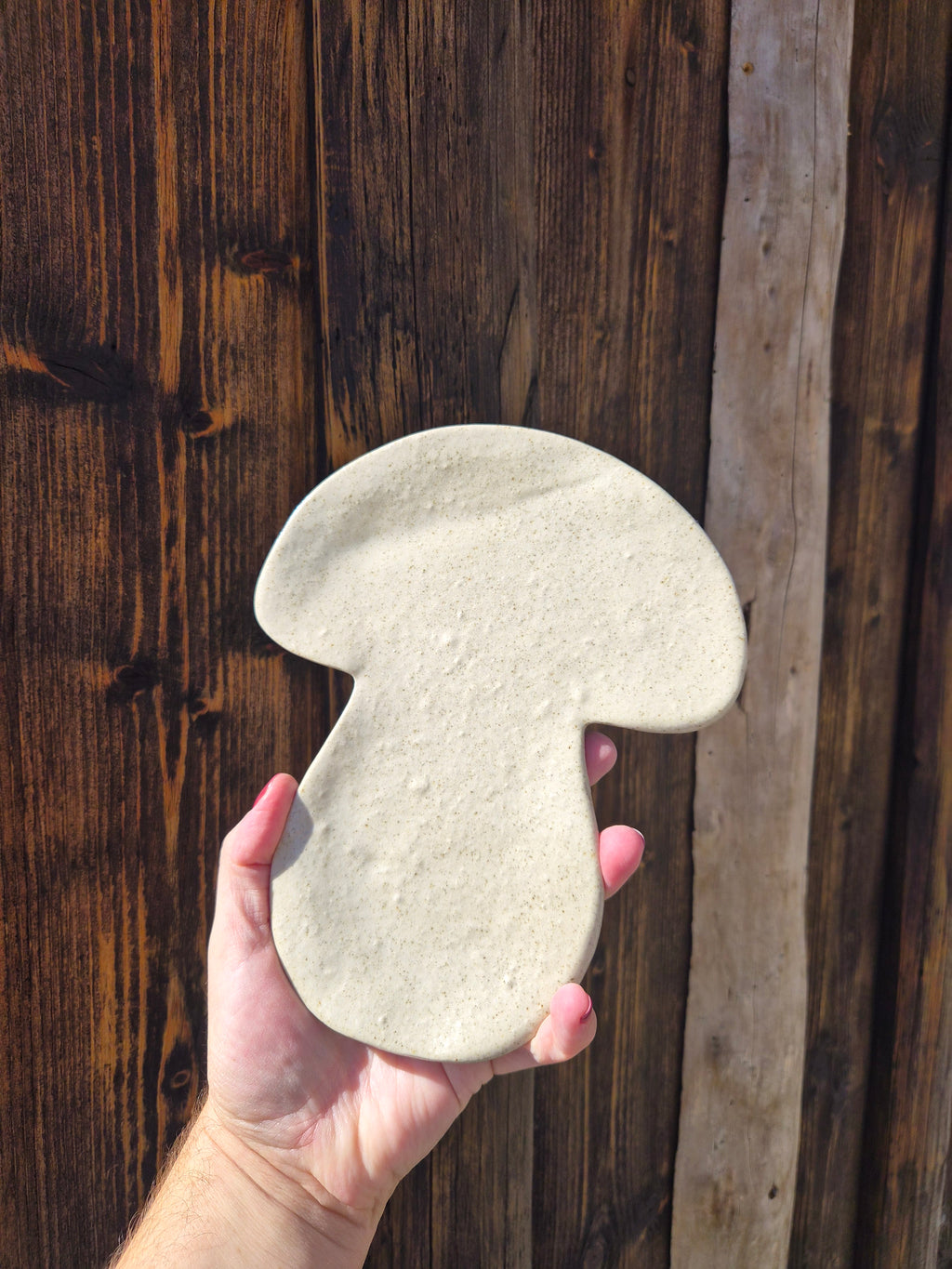 Plat champignon
