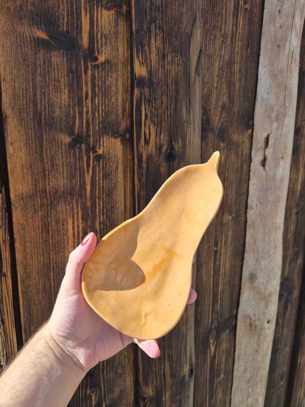 Petit plat butternut