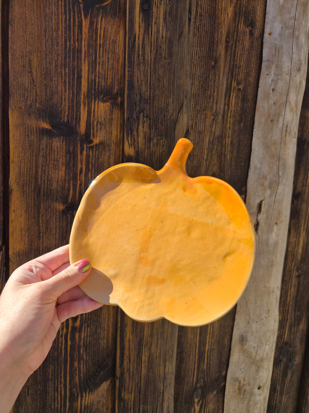 Plat courge