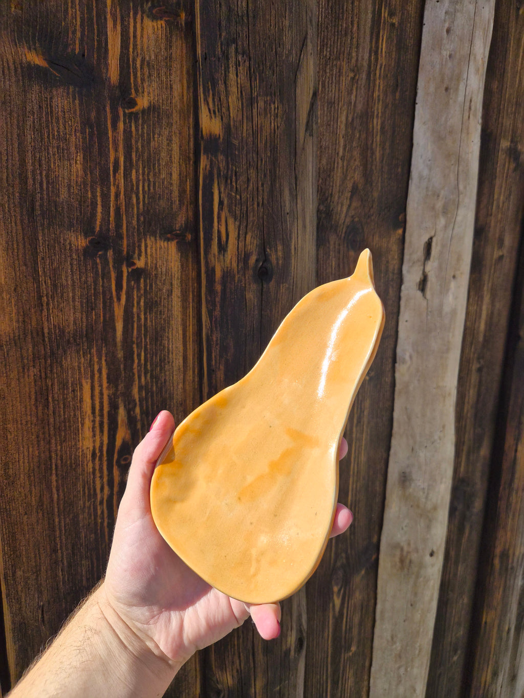 Petit plat butternut