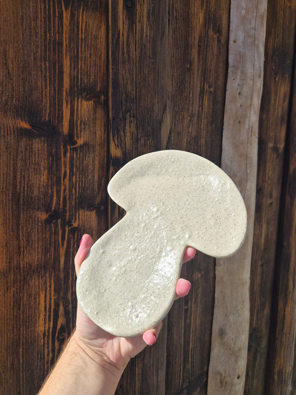 Plat champignon