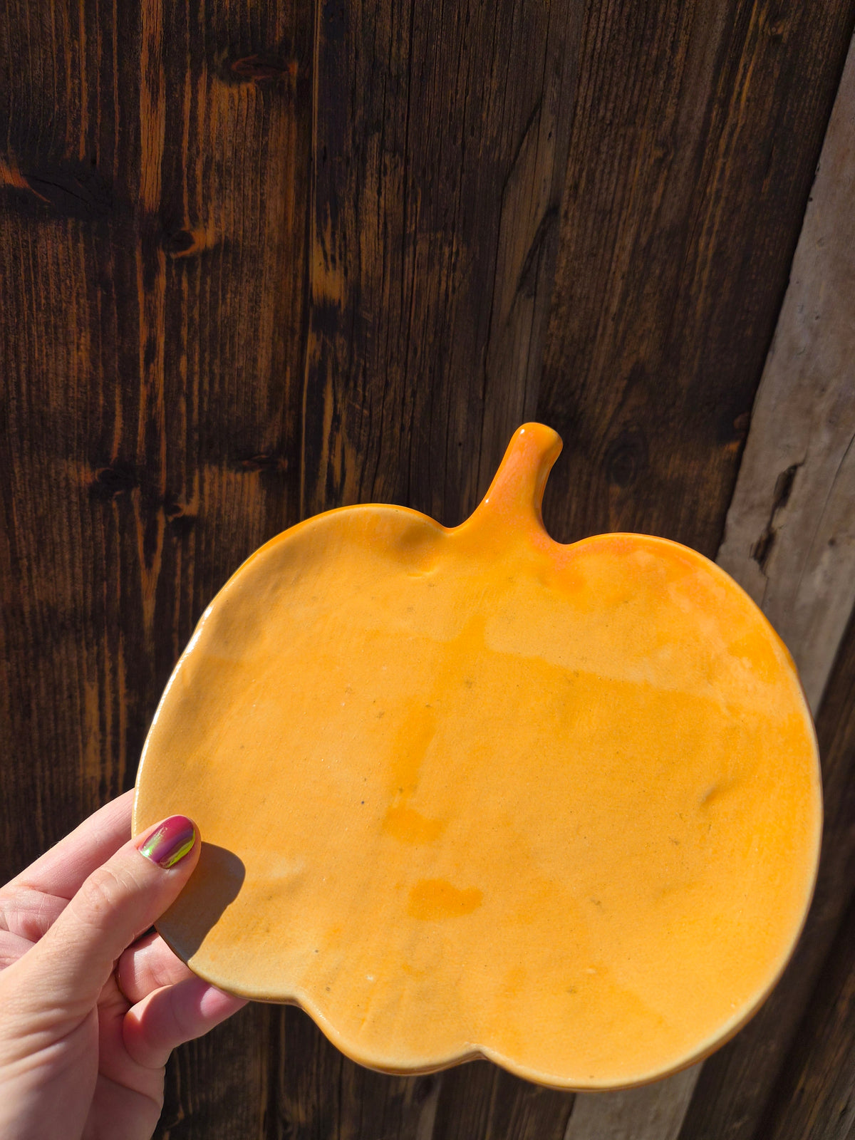 Plat courge
